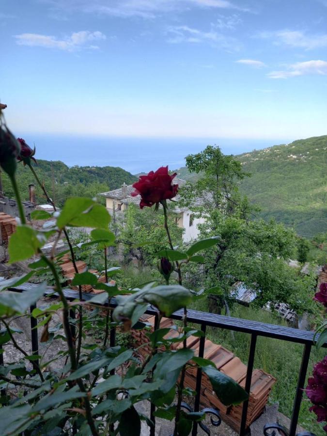 Orizontas Pilio Villa Kissos  Exterior foto
