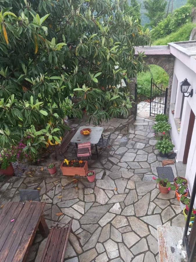 Orizontas Pilio Villa Kissos  Exterior foto