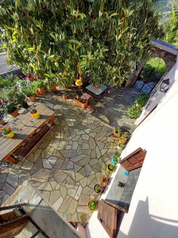 Orizontas Pilio Villa Kissos  Exterior foto