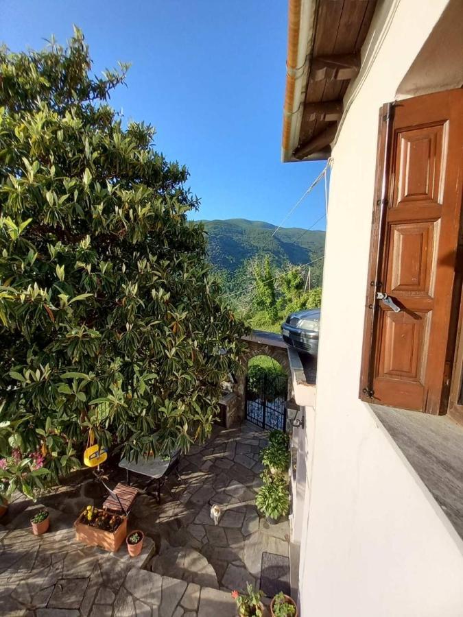Orizontas Pilio Villa Kissos  Exterior foto